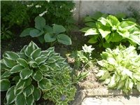 b60ec850-Picture 5910.jpg